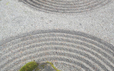 Maybe you need to go backwards to flow forward?