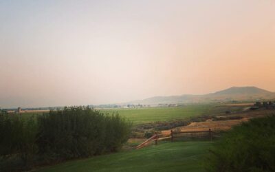 The Art of Tiny Transitions & Why They Matter