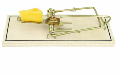 What’s Your Mousetrap?