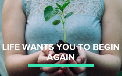 Life Wants You to Begin Again