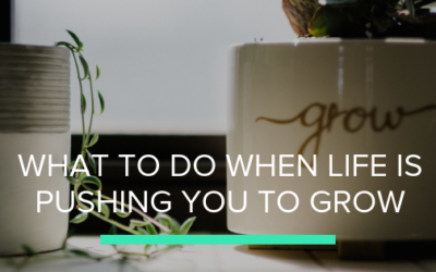 What to do when life is pushing you to grow