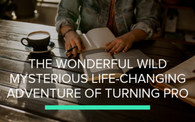 The wonderful wild mysterious life changing adventure of turning pro