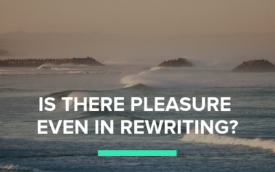 What’s Pleasure Got to Do with Rewriting Anything?