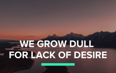 We Grow Dull for Lack of Desire
