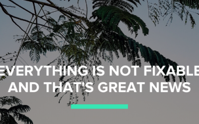 Everything is Not Fixable and that’s Great News